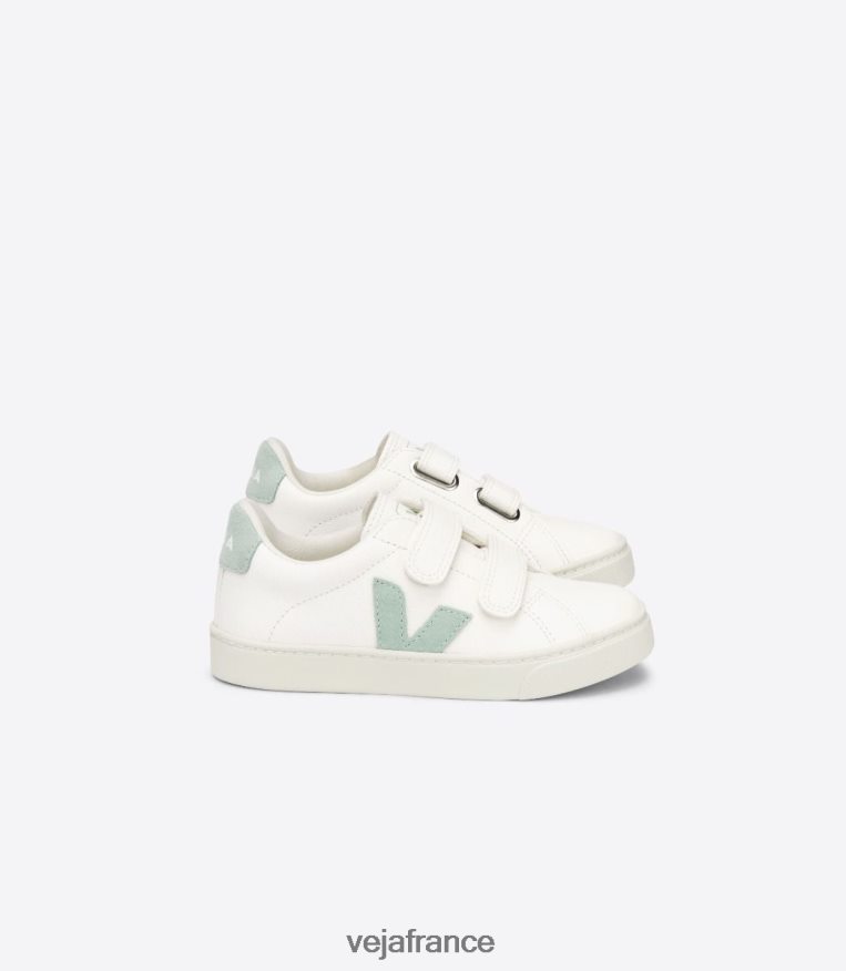 chaussures Veja Esplar cuir sans chrome blanc matcha enfants 0826JT329