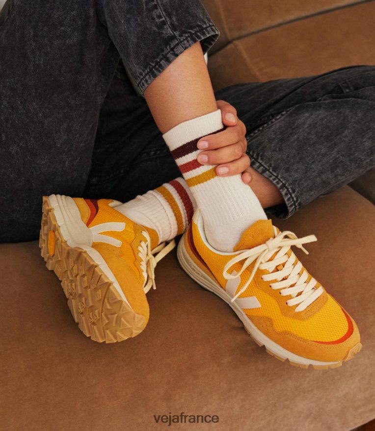 chaussures Veja X ba&sh ouro pierre femmes 0826JT293