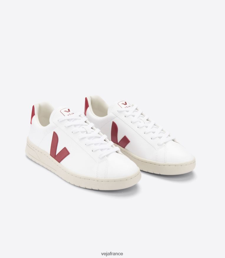 chaussures Veja urca cwl marsala blanc Hommes 0826JT138