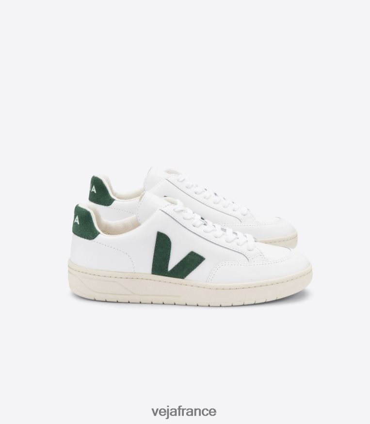 chaussures Veja V-12 cuir blanc Chypre Hommes 0826JT31